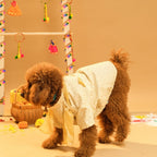 FURWALI FESTIVE DOG KURTA WITH DUPATTA- IVORY WHITE