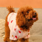 LINEN HEART EMBROIDERY DOG KURTA- BABY PINK