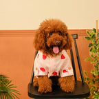 LINEN HEART EMBROIDERY DOG KURTA- BABY PINK