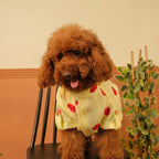 HEART EMBROIDERY DOG KURTA- LEMON YELLOW