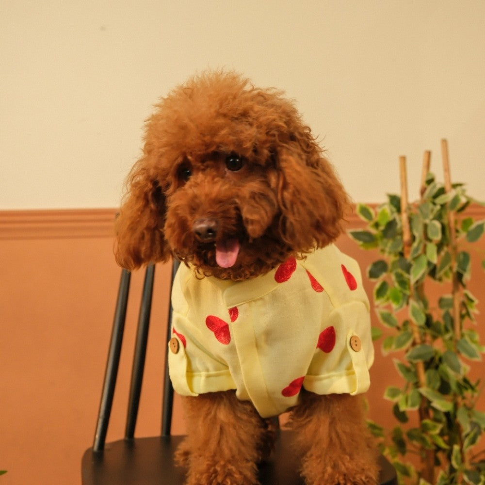 HEART EMBROIDERY DOG KURTA- LEMON YELLOW