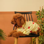 HEART EMBROIDERY DOG KURTA- LEMON YELLOW
