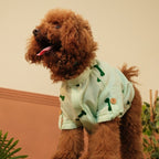 BONE EMBROIDERY DOG KURTA- MINT GREEN