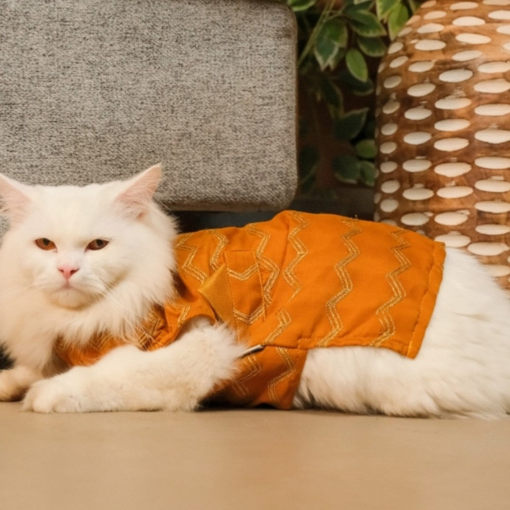 Jashn Mustard Cat Sherwani