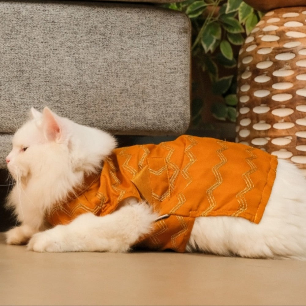 Jashn Mustard Cat Sherwani