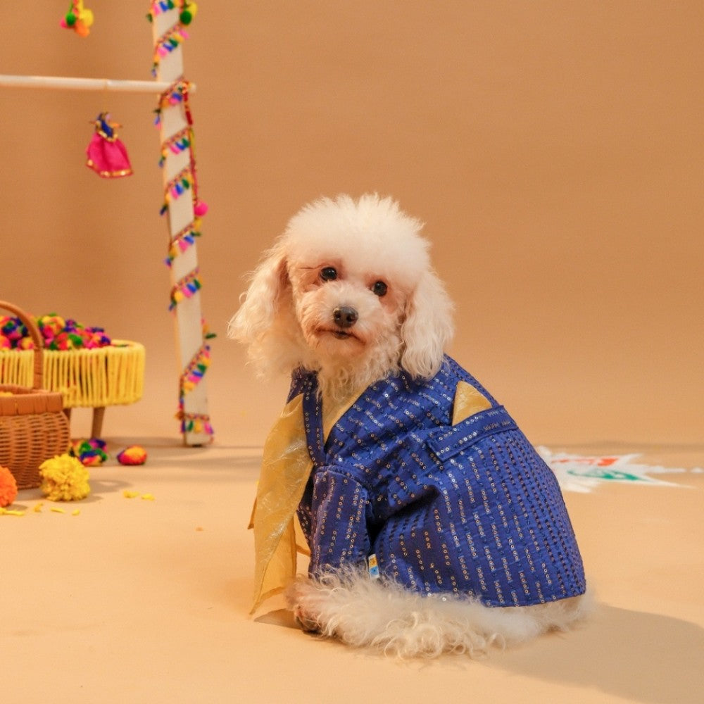 FURWALI FESTIVE DOG KURTA WITH DUPATTA- ROYAL BLUE