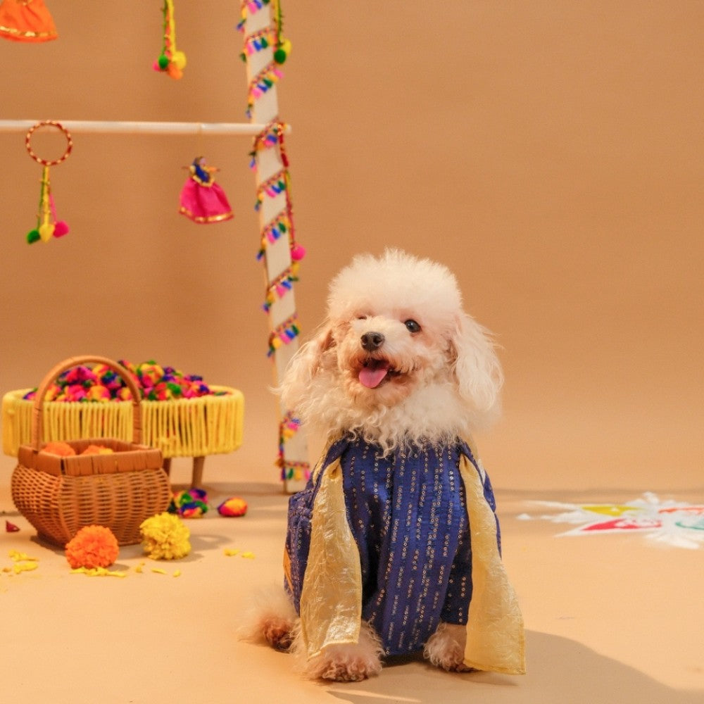 FURWALI FESTIVE DOG KURTA WITH DUPATTA- ROYAL BLUE