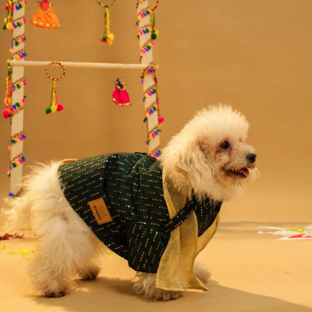 FURWALI FESTIVE DOG KURTA WITH DUPATTA- BOTTLE GREEN