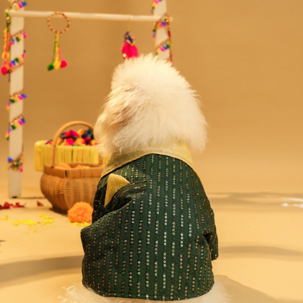 FURWALI FESTIVE DOG KURTA WITH DUPATTA- BOTTLE GREEN