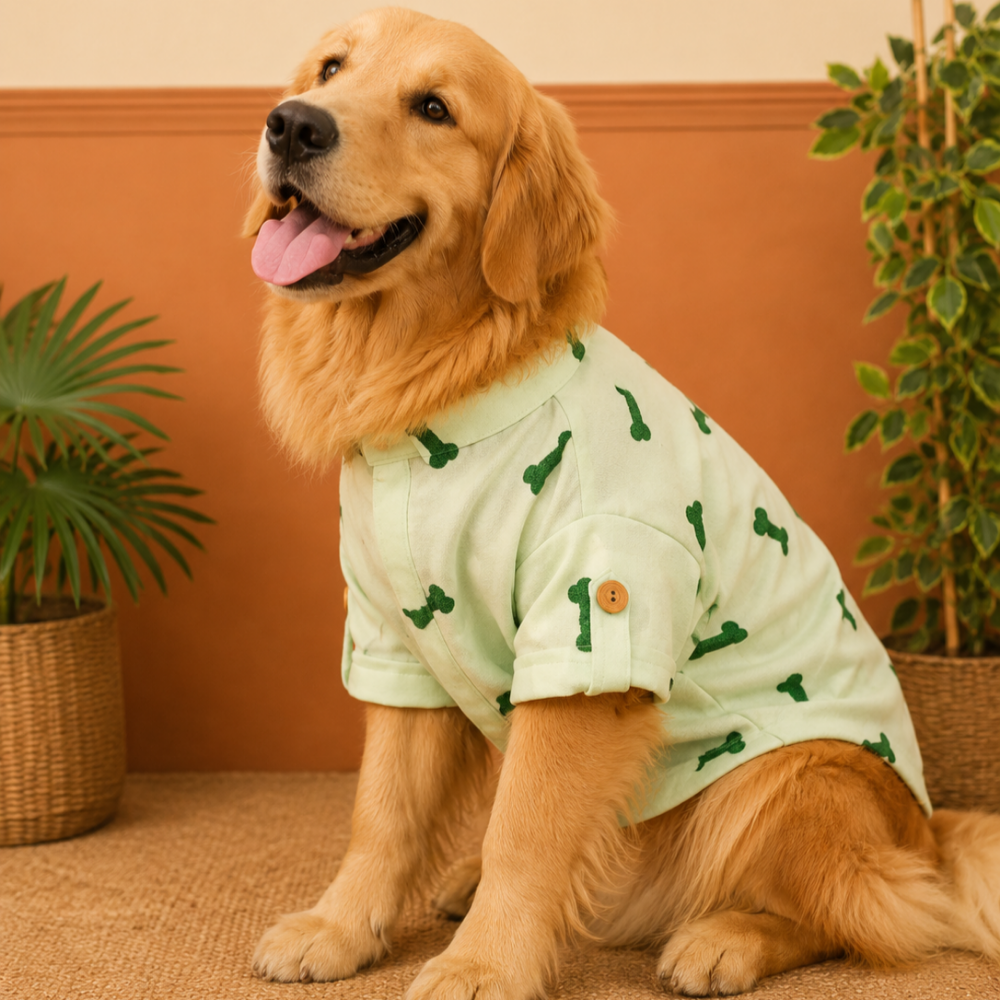BONE EMBROIDERY DOG KURTA- MINT GREEN