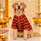 JASHN RED AND GOLD DOG SHERWANI