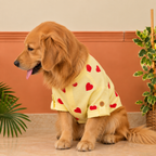 HEART EMBROIDERY DOG KURTA- LEMON YELLOW