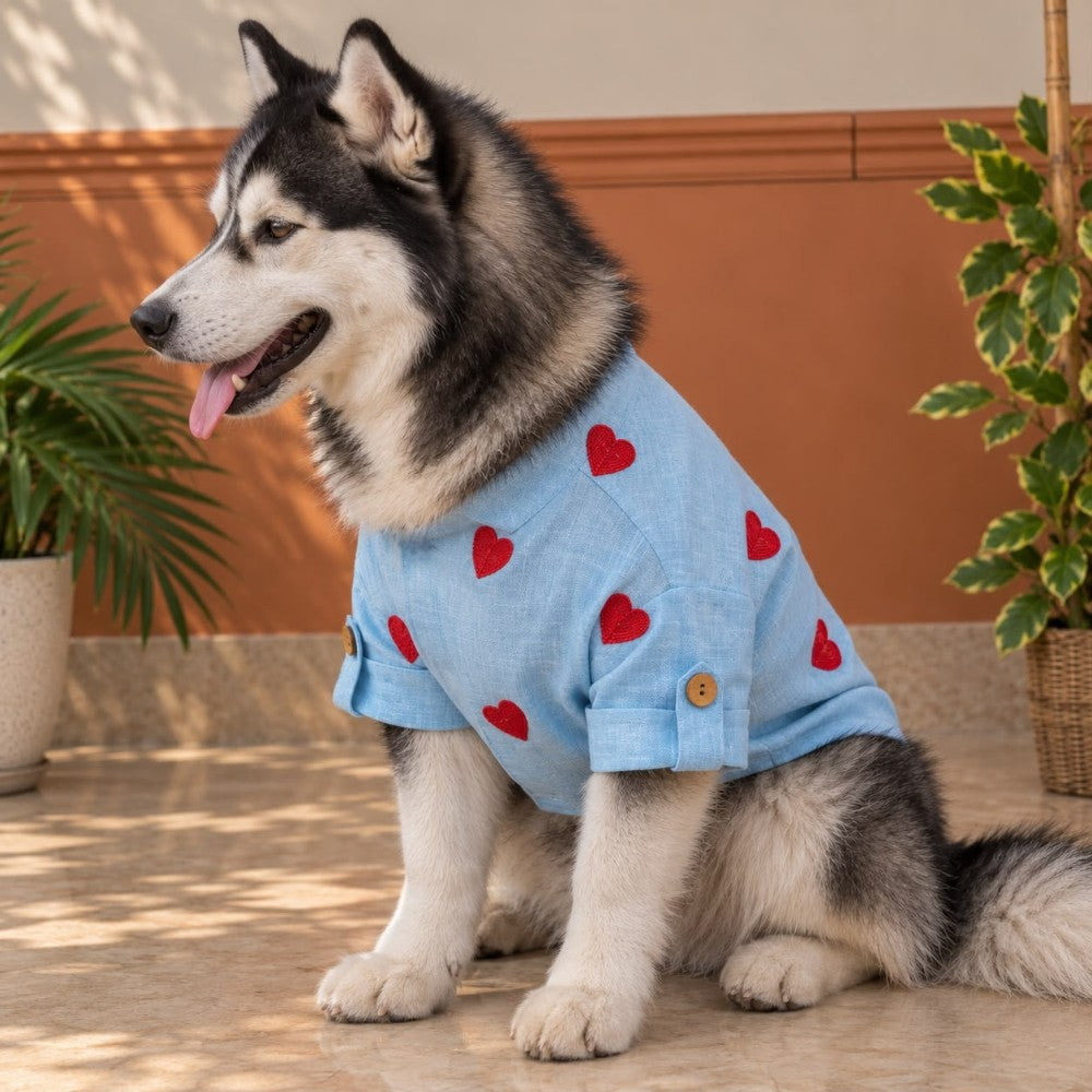 LINEN HEART EMBROIDERY DOG KURTA- BABY BLUE