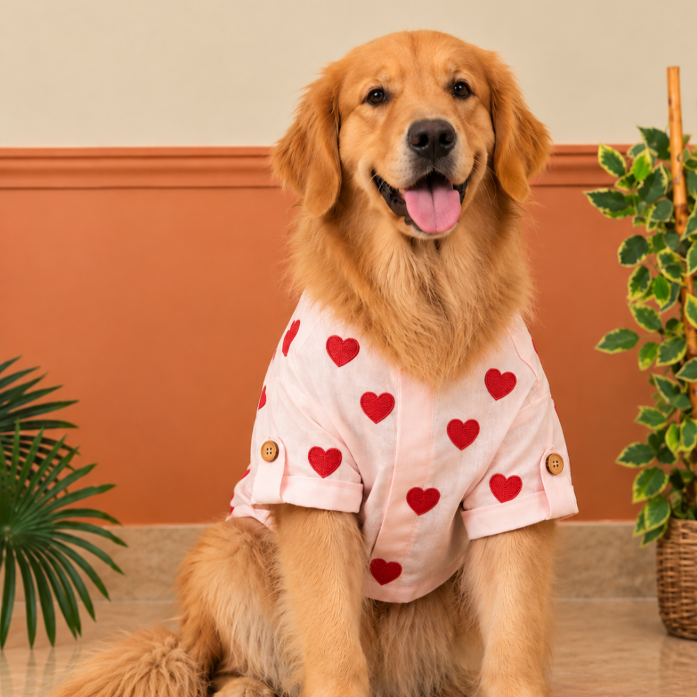 LINEN HEART EMBROIDERY DOG KURTA- BABY PINK