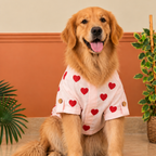 LINEN HEART EMBROIDERY DOG KURTA- BABY PINK