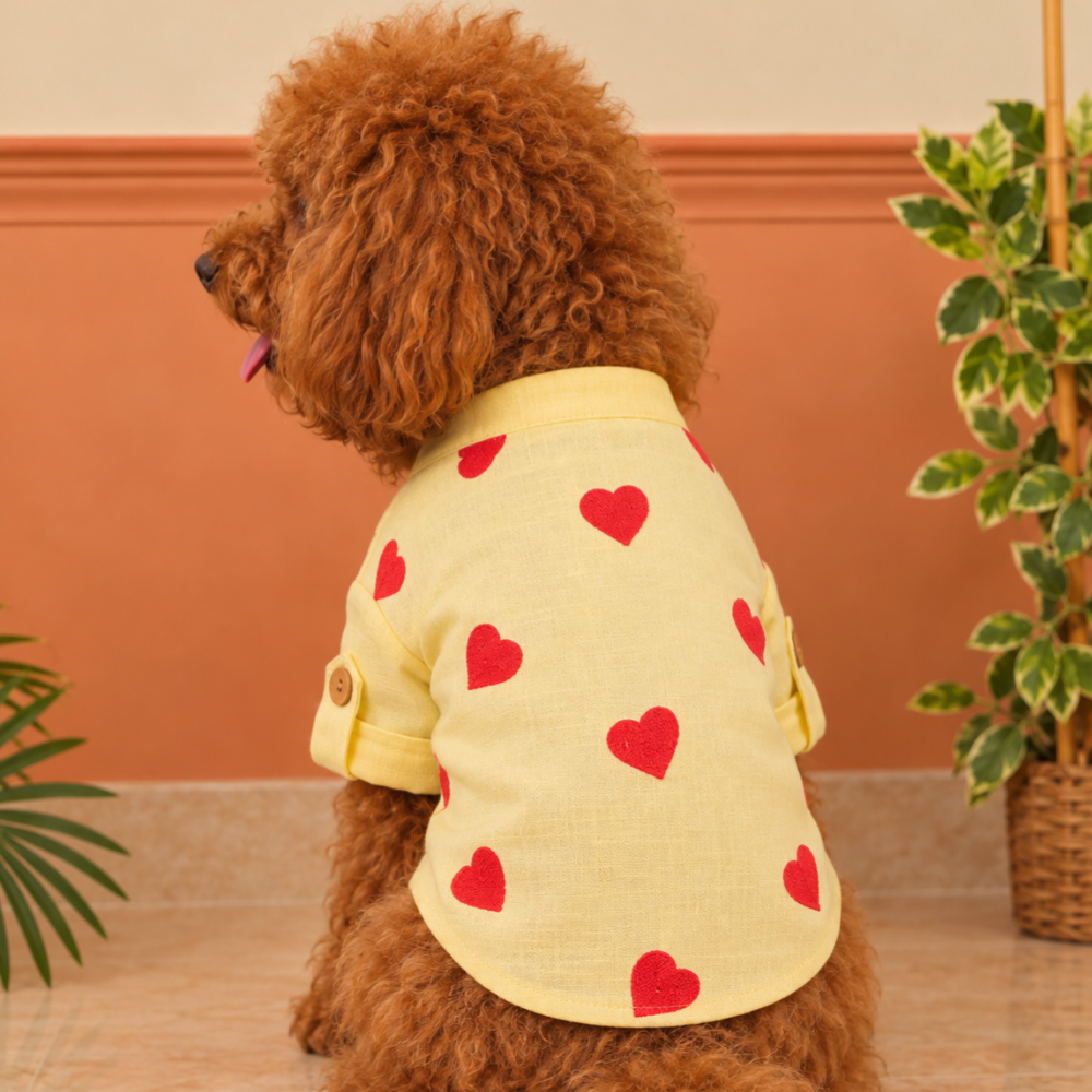 HEART EMBROIDERY DOG KURTA- LEMON YELLOW
