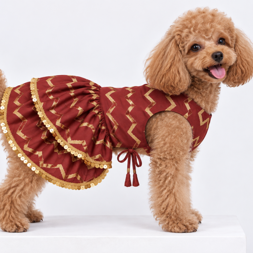 ZARI GOLD DOG LEHENGA- MAROON RED