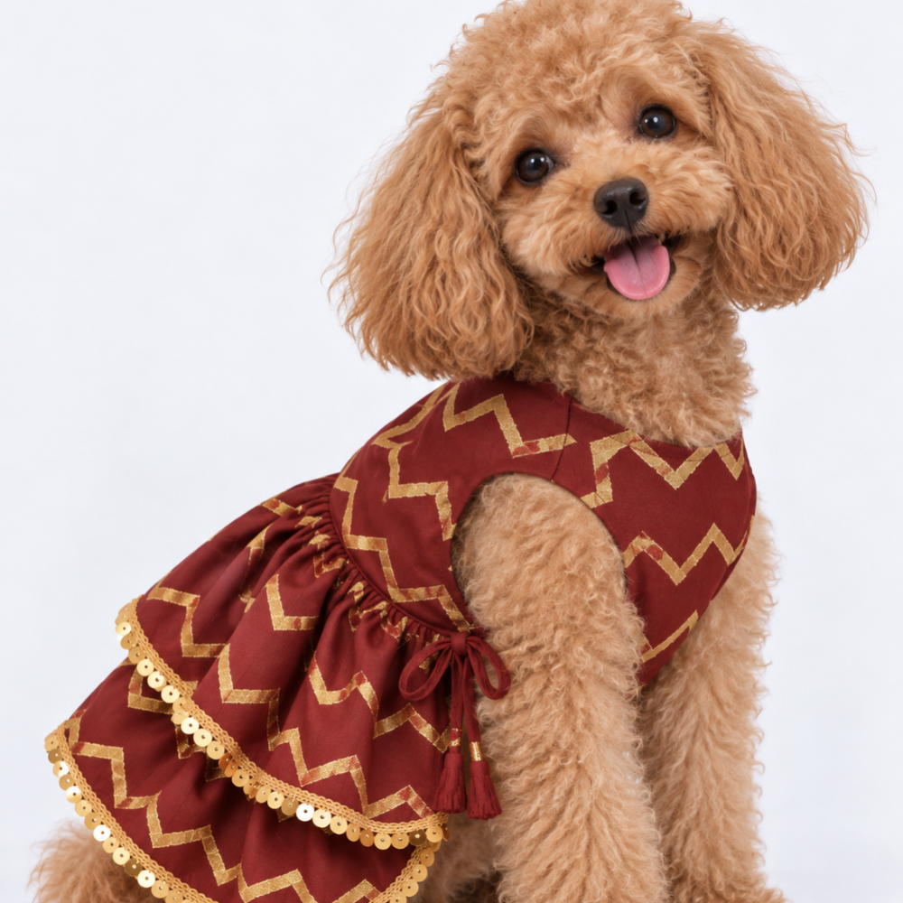 ZARI GOLD DOG LEHENGA- MAROON RED