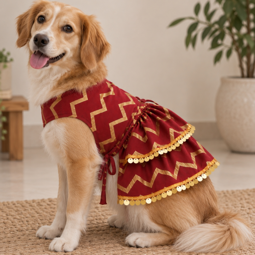 ZARI GOLD DOG LEHENGA- MAROON RED