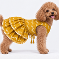 ZARI GOLD DOG LEHENGA- MUSTARD YELLOW
