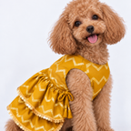 ZARI GOLD DOG LEHENGA- MUSTARD YELLOW