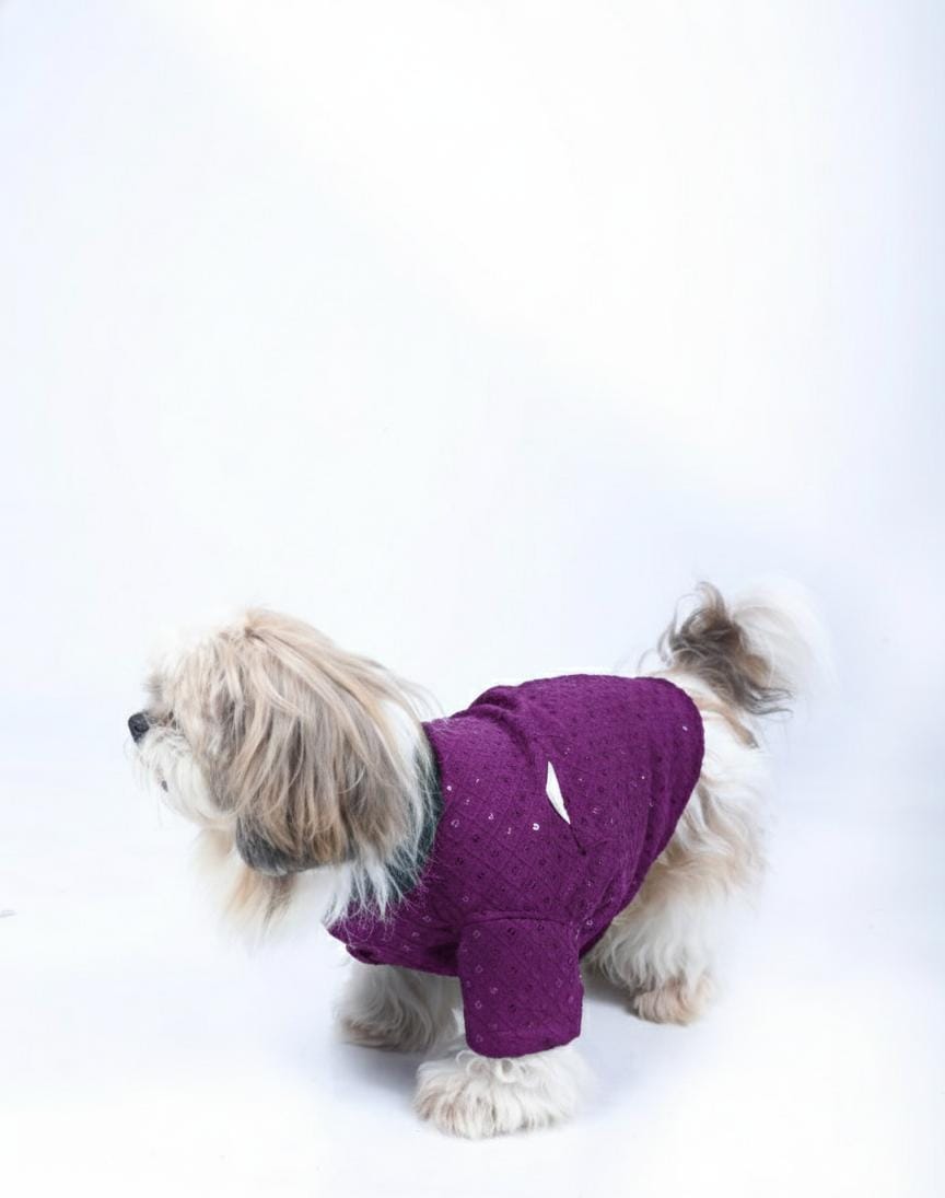 Purple Wine Dog Sherwani