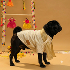 FURWALI FESTIVE DOG KURTA WITH DUPATTA- IVORY WHITE