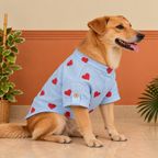 LINEN HEART EMBROIDERY DOG KURTA- BABY BLUE