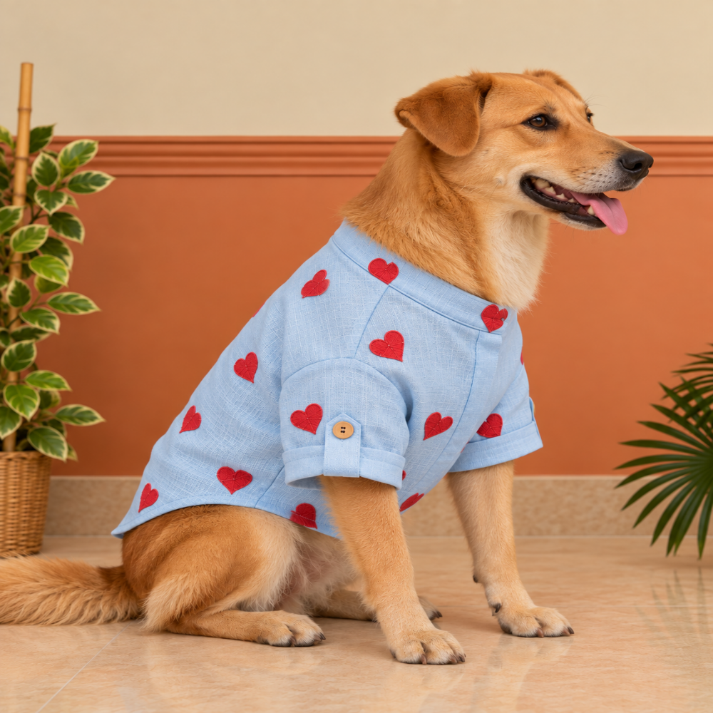 LINEN HEART EMBROIDERY DOG KURTA- BABY BLUE