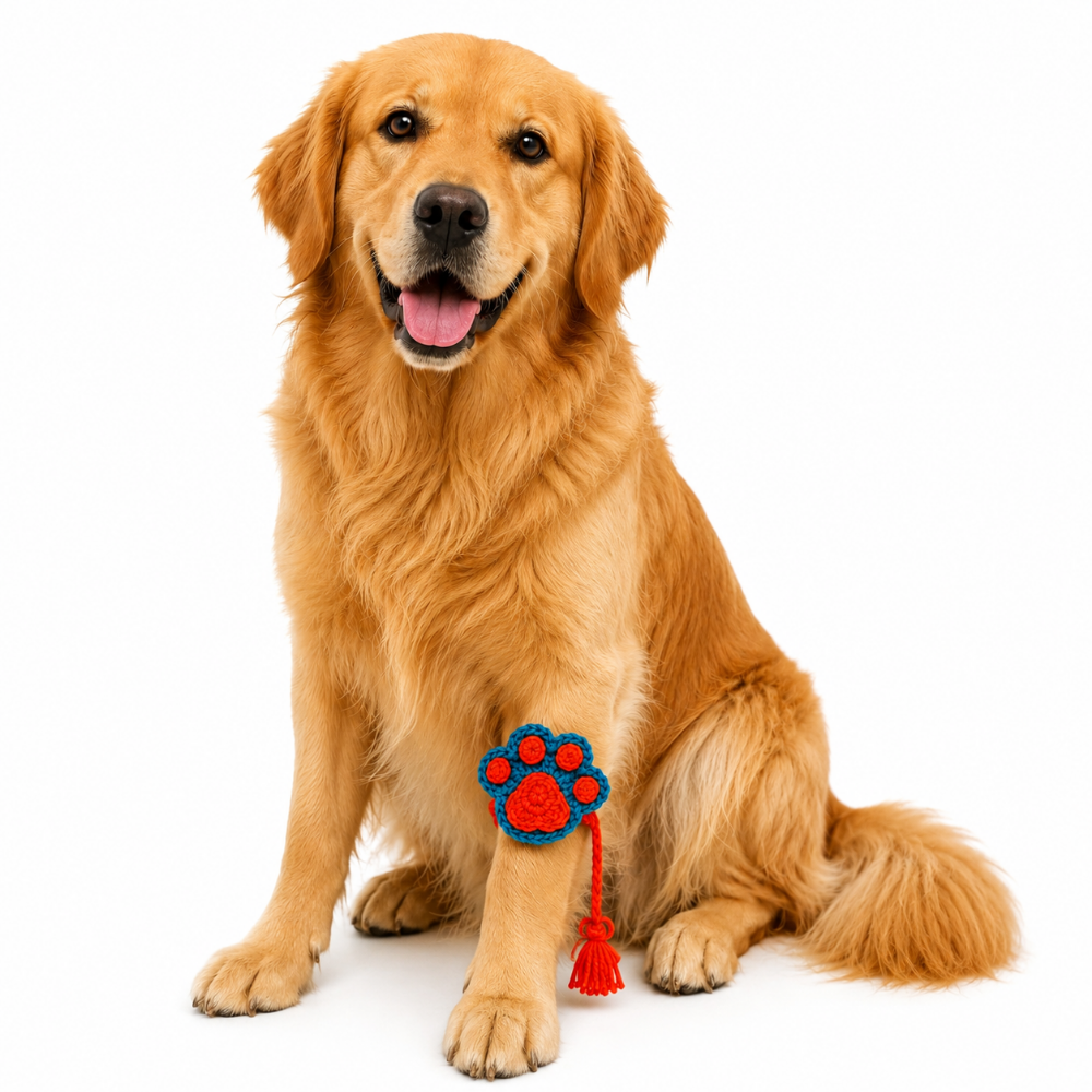 Orange & Blue Paw Crochet Rakhi for Pets