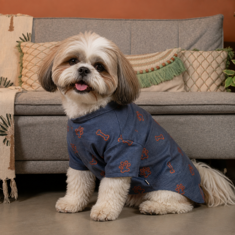 DESI DENIM DOG KURTA- INDIGO