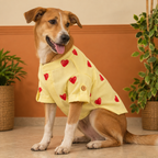HEART EMBROIDERY DOG KURTA- LEMON YELLOW
