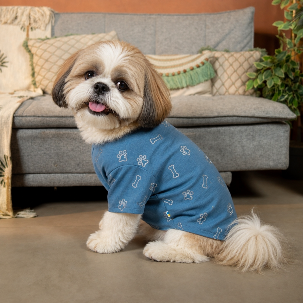 DESI DENIM DOG KURTA- BLUE