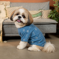 DESI DENIM DOG KURTA- BLUE