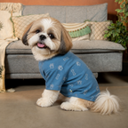 DESI DENIM DOG KURTA- BLUE