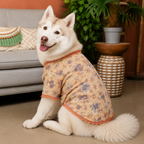 PAWTSAV DOG KURTA