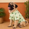BONE EMBROIDERY DOG KURTA- MINT GREEN