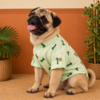 BONE EMBROIDERY DOG KURTA- MINT GREEN