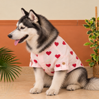 LINEN HEART EMBROIDERY DOG KURTA- BABY PINK