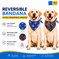 Evil Eye & Neon Tropical Reversible Tie Knot Bandana