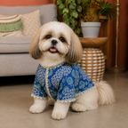SHAAN DOG KURTA