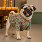 RANGREZ DOG KURTA