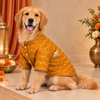 JASHN MUSTARD YELLOW AND GOLD DOG SHERWANI