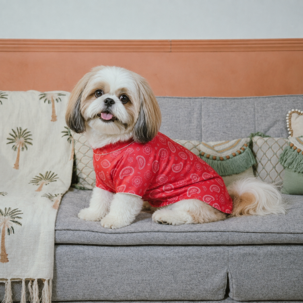 HEERA MOTI DOG KURTA