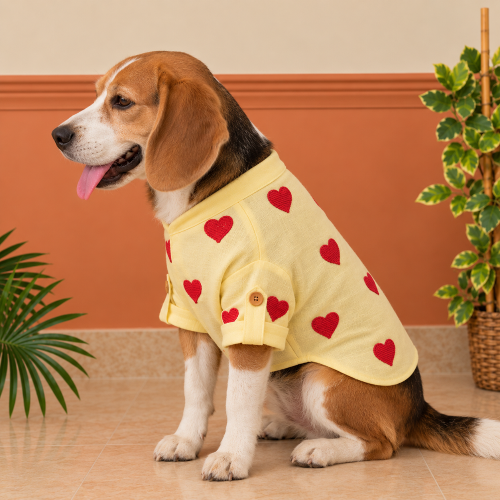 HEART EMBROIDERY DOG KURTA- LEMON YELLOW