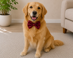 Pack of Two Satin  Bow for Dogs and Cats:  Red and Pink