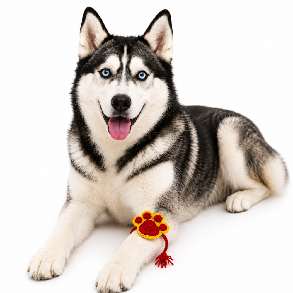 Red & Yellow Paw Crochet Rakhi for Pets