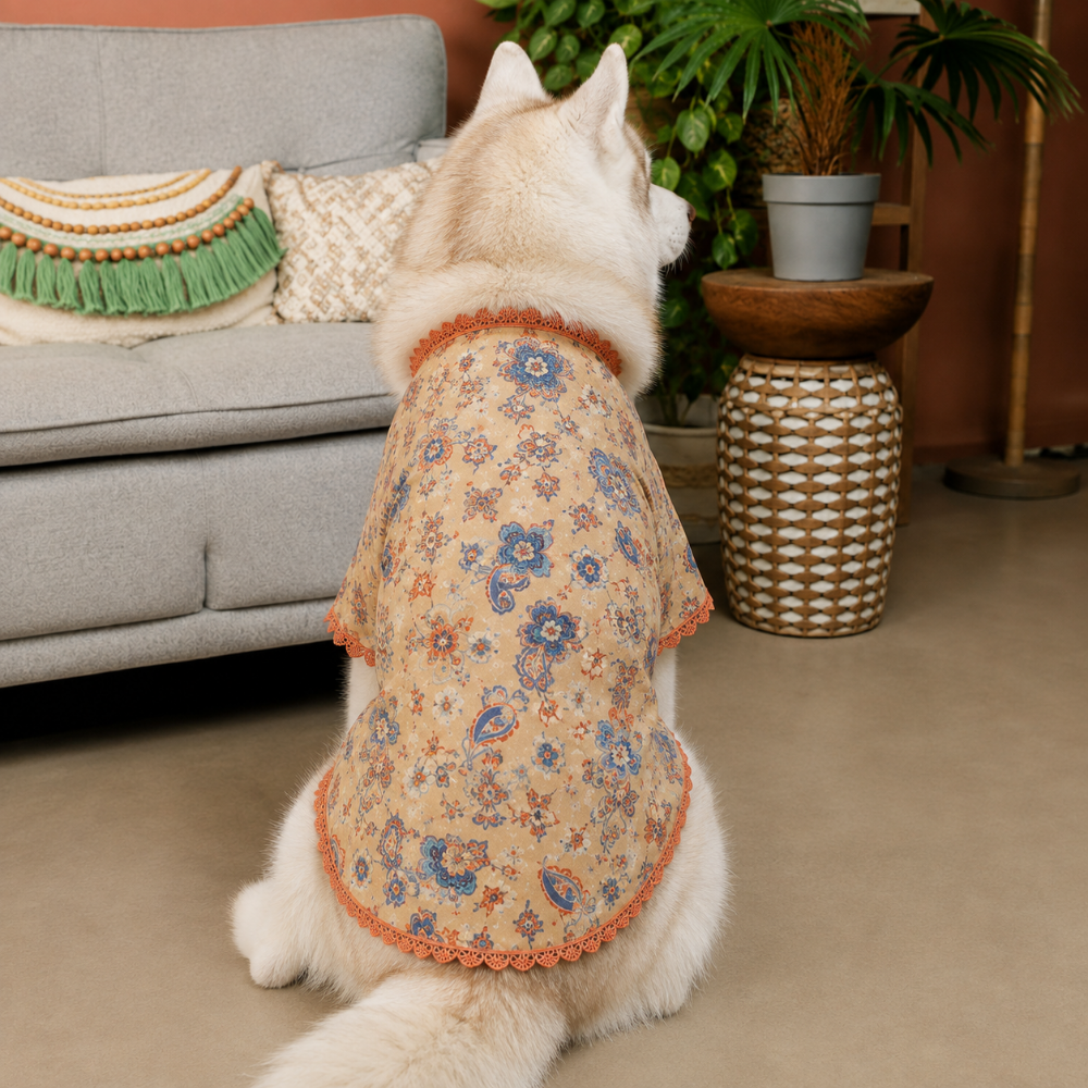 PAWTSAV DOG KURTA
