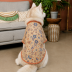 PAWTSAV DOG KURTA