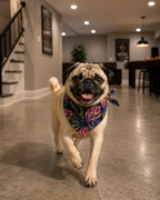 Evil Eye & Neon Tropical Reversible Tie Knot Bandana